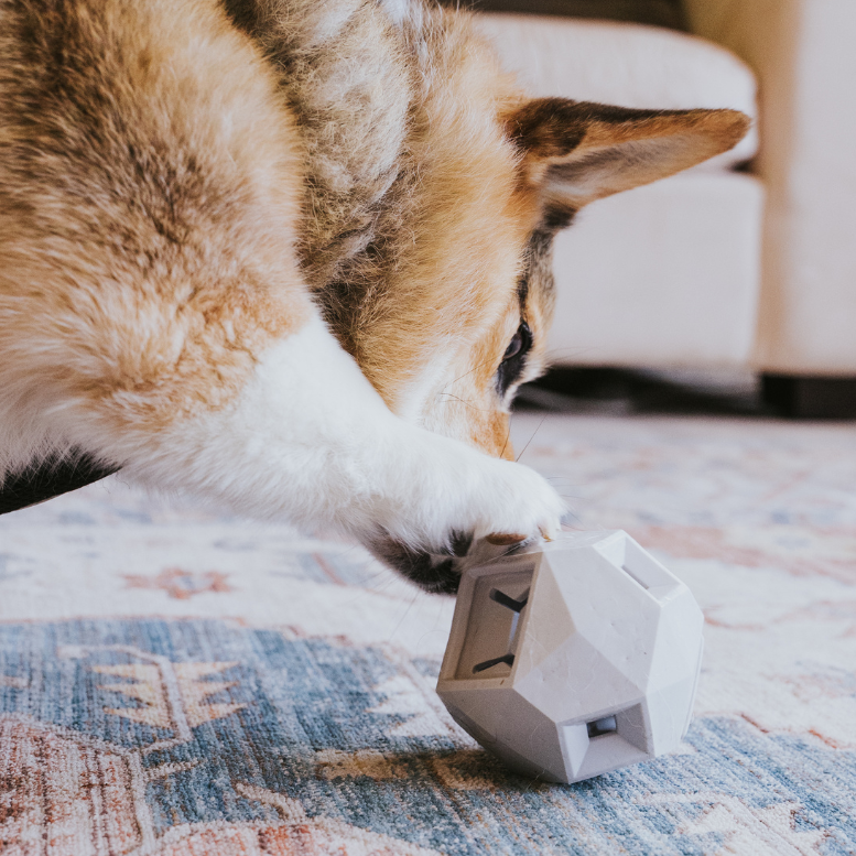 The Odin Treat Dispensing Toy For Dogs