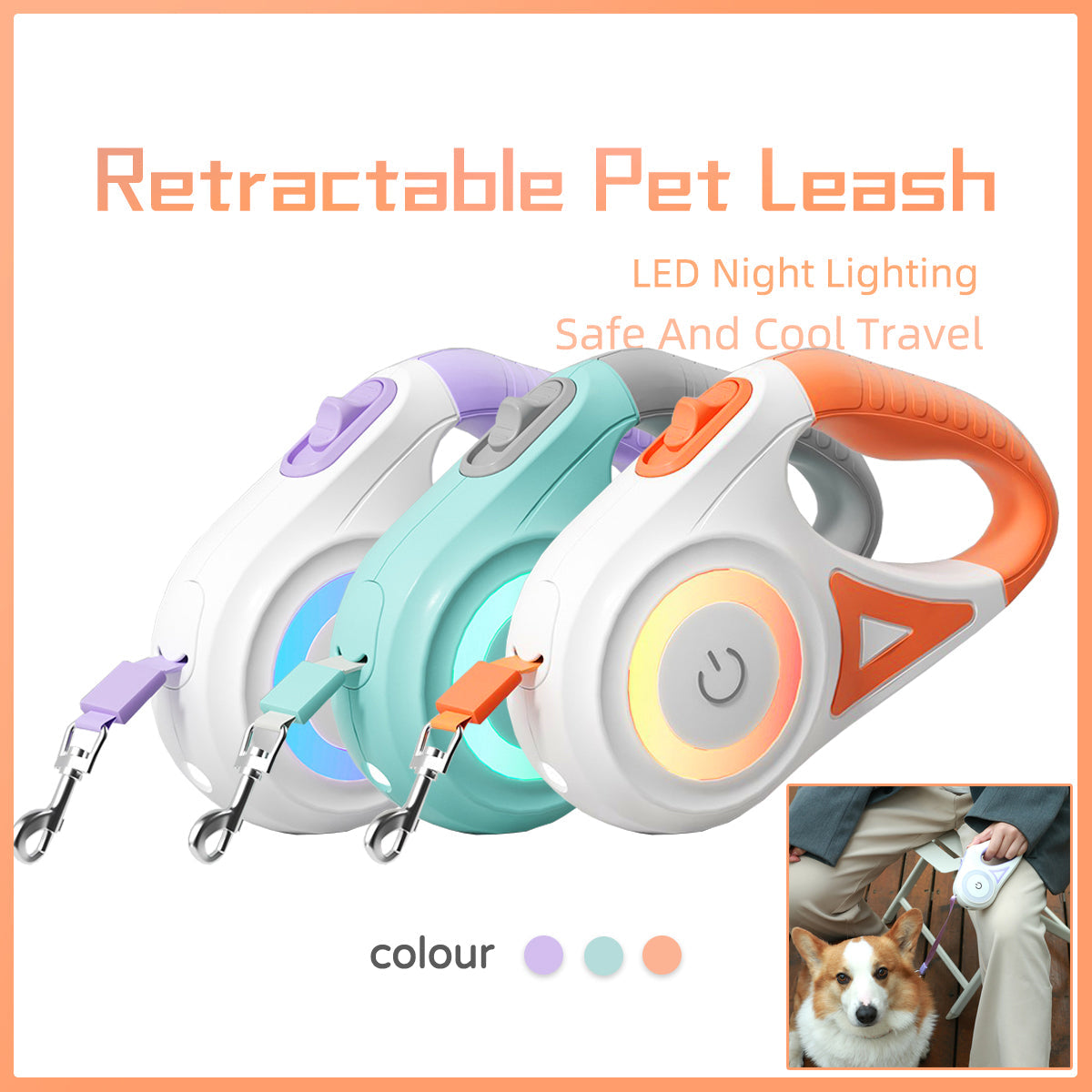 Retractable Dog Leash & Collar Set for Small to Medium Dogs