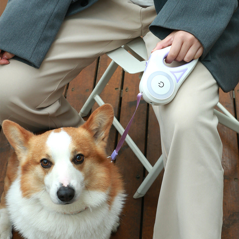 Retractable Dog Leash & Collar Set for Small to Medium Dogs