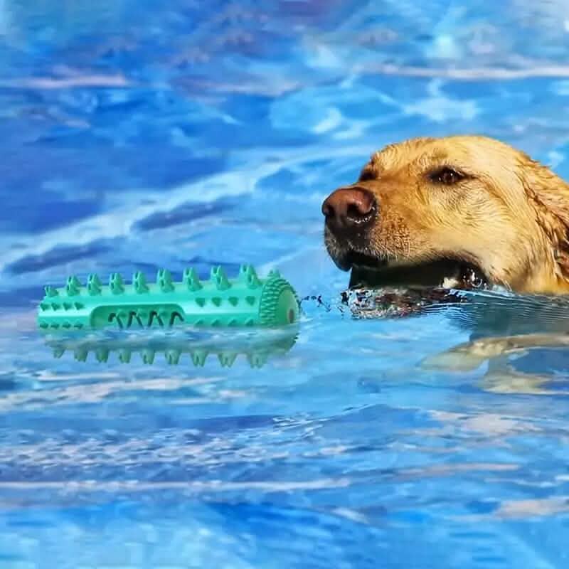 Dog Toothbrush Chew Stick – 2-in-1 Dental Toy
