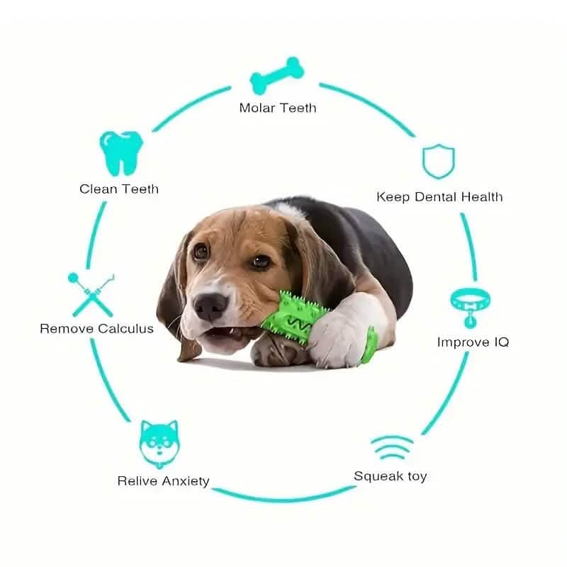 Dog Toothbrush Chew Stick – 2-in-1 Dental Toy
