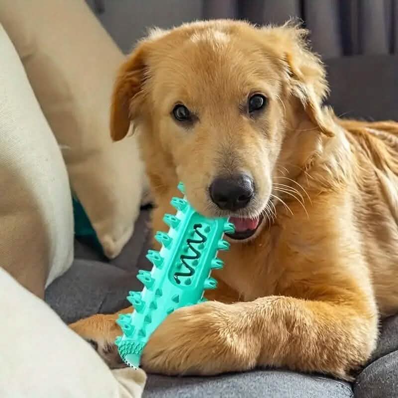 Dog Toothbrush Chew Stick – 2-in-1 Dental Toy