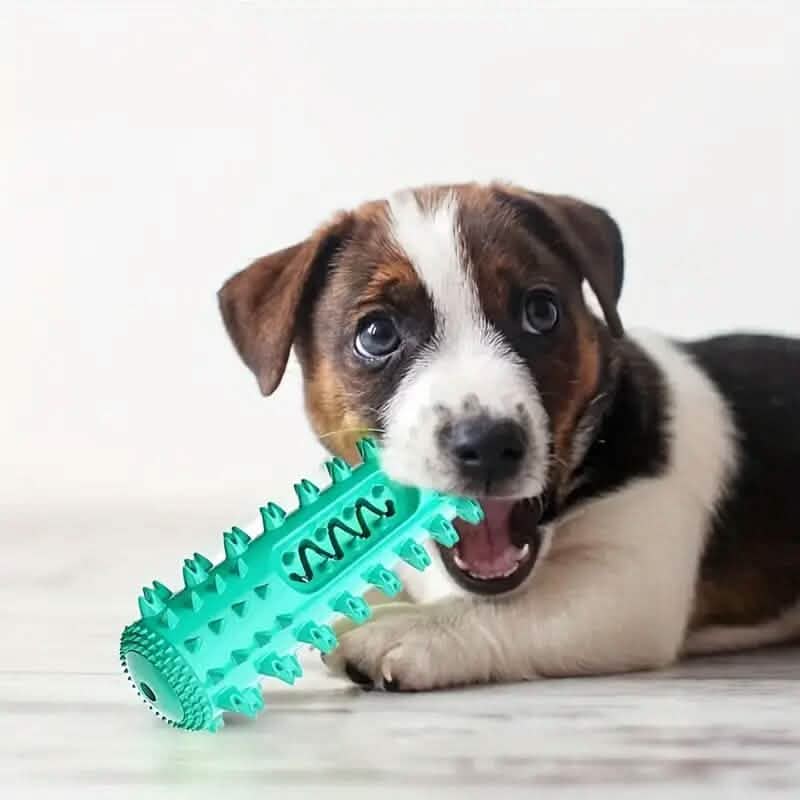 Dog Toothbrush Chew Stick – 2-in-1 Dental Toy